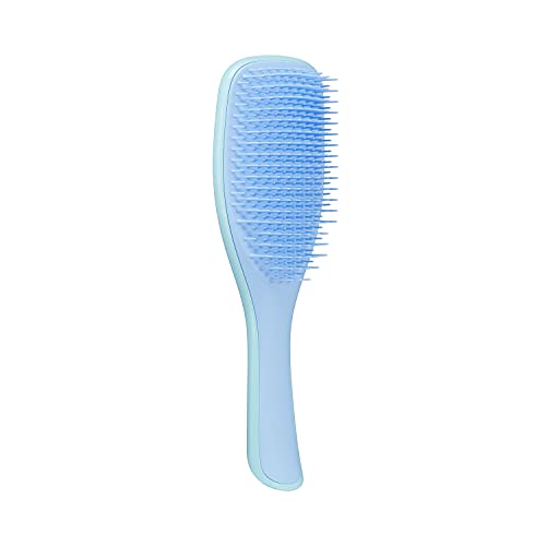 What's The Best Detangler Brush Recommended By An Expert