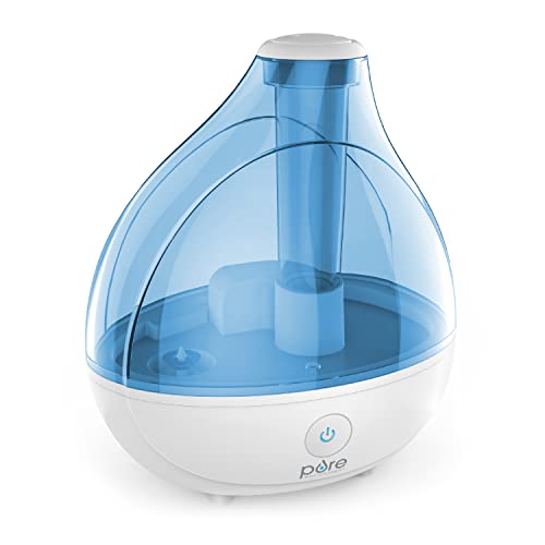 How To Choose The Best Humidifier Recommended By An Expert