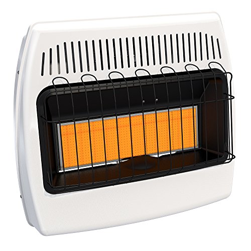 10 Best Gas Heaters For Indoor Use Recommended By An Expert