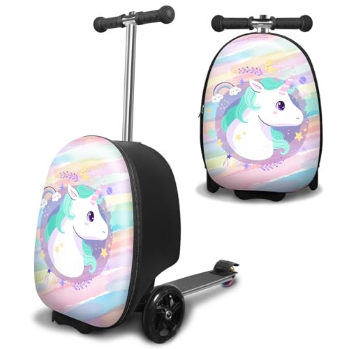 Our 10 Best Luggage Scooter Reviews In 2024