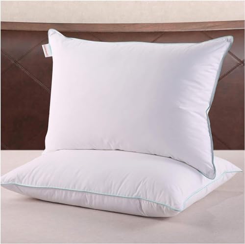 What's The Best Feather Pillows Standard Recommended By An Expert