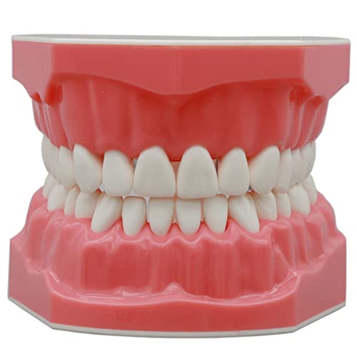 The 10 Best Dental Materials Ebooks Reviews & Comparison
