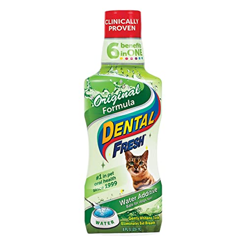 Top 10 Best Dental Fresh For Cats – Reviews And Buying Guide