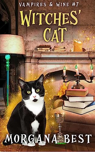 10 Best Cat Ebooks Recommended By An Expert