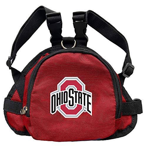 10 Best Ohio State Backpack For Boys [2024 UPDATED RANKINGS]
